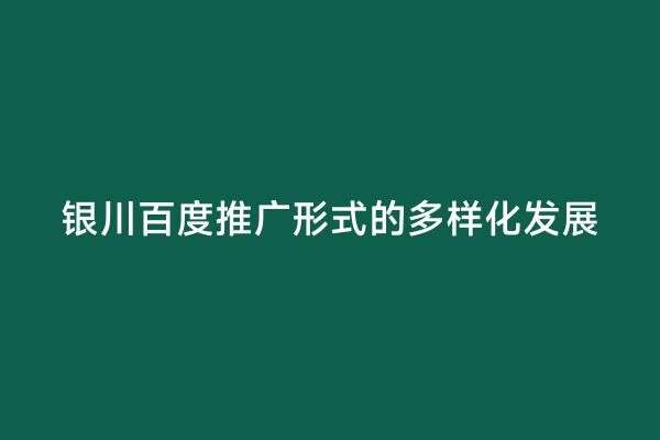 银川百度推广形式的多样化发展