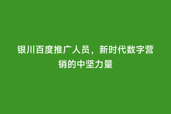 银川百度推广人员，新时代数字营销的中坚力量