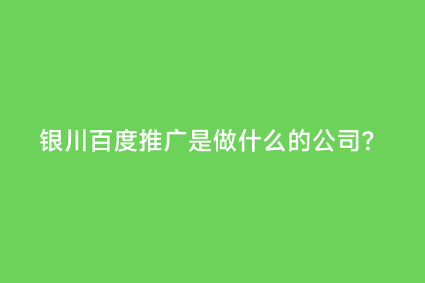 银川百度推广是做什么的公司？
