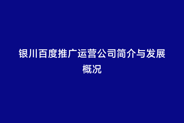 银川百度推广运营公司简介与发展概况