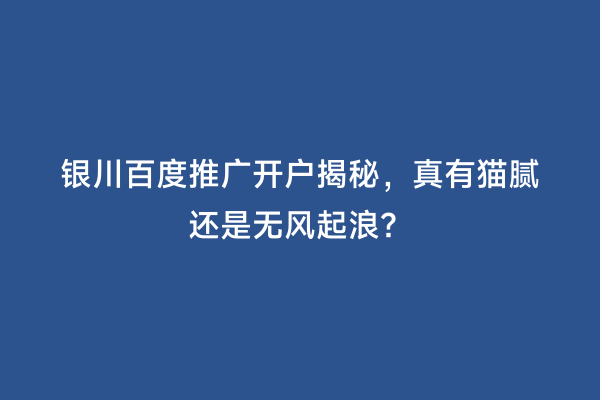 银川百度推广开户揭秘，真有猫腻还是无风起浪？