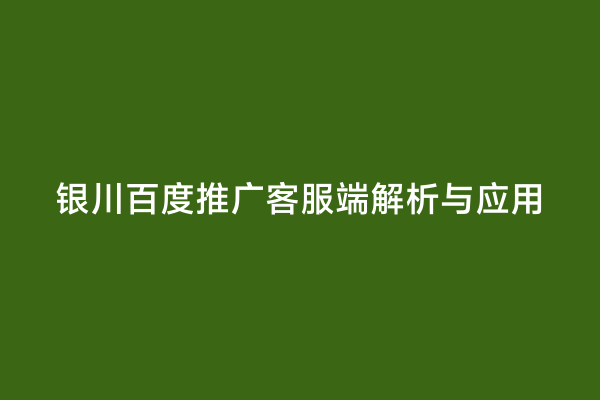 银川百度推广客服端解析与应用