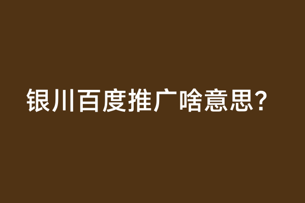 银川百度推广啥意思？