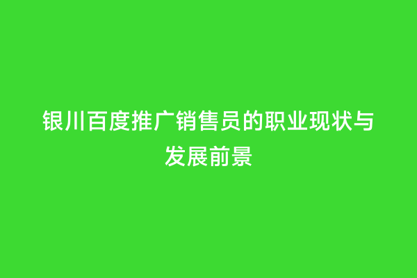 银川百度推广销售员的职业现状与发展前景