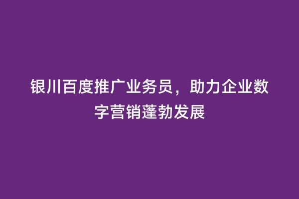 银川百度推广业务员，助力企业数字营销蓬勃发展