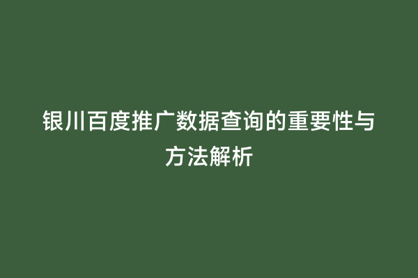 银川百度推广数据查询的重要性与方法解析