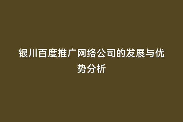 银川百度推广网络公司的发展与优势分析