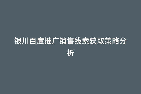 银川百度推广销售线索获取策略分析