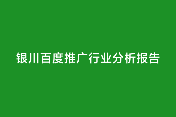 银川百度推广行业分析报告