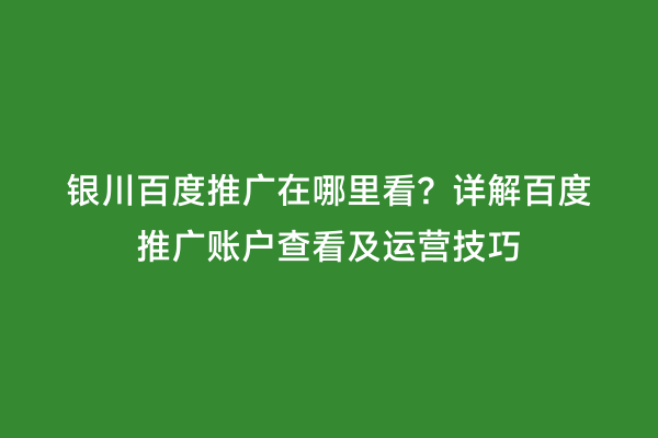 银川百度推广在哪里看？详解百度推广账户查看及运营技巧