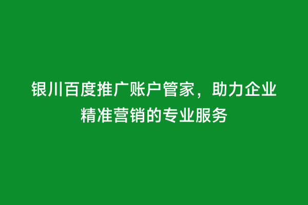 银川百度推广账户管家，助力企业精准营销的专业服务