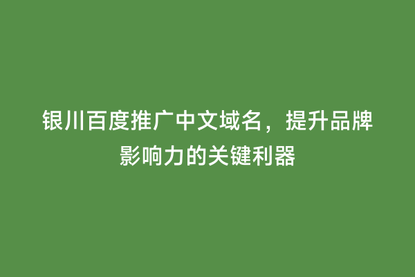 银川百度推广中文域名，提升品牌影响力的关键利器