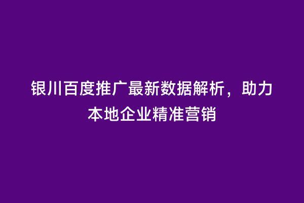 银川百度推广最新数据解析，助力本地企业精准营销