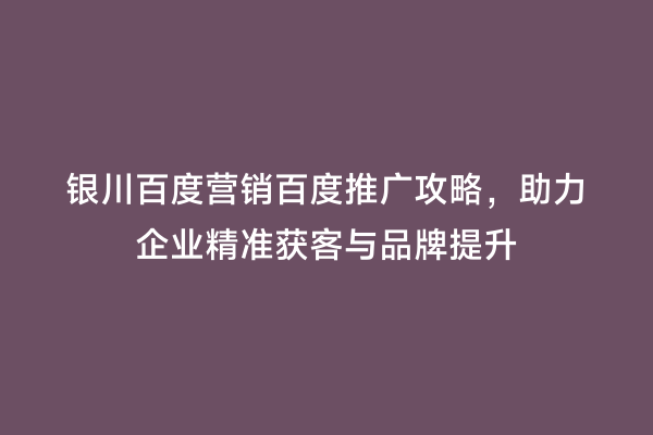 银川百度营销百度推广攻略，助力企业精准获客与品牌提升