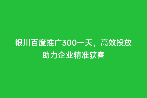 银川百度推广300一天，高效投放助力企业精准获客