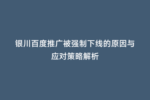 银川百度推广被强制下线的原因与应对策略解析