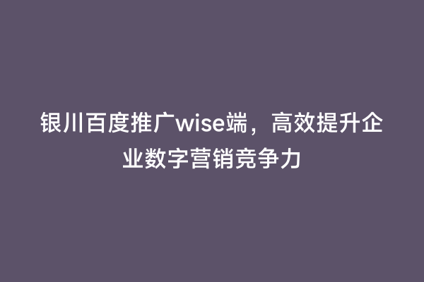 银川百度推广wise端，高效提升企业数字营销竞争力