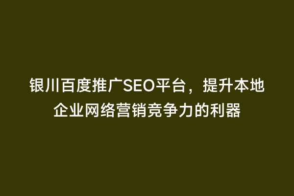 银川百度推广SEO平台，提升本地企业网络营销竞争力的利器