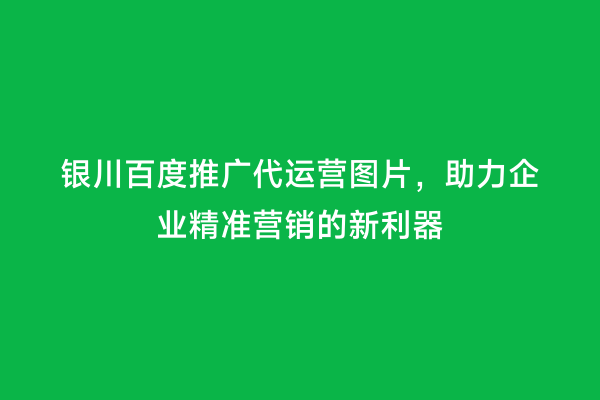 银川百度推广代运营图片，助力企业精准营销的新利器