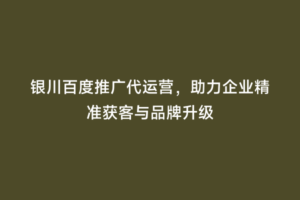 银川百度推广代运营，助力企业精准获客与品牌升级