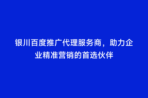 银川百度推广代理服务商，助力企业精准营销的首选伙伴