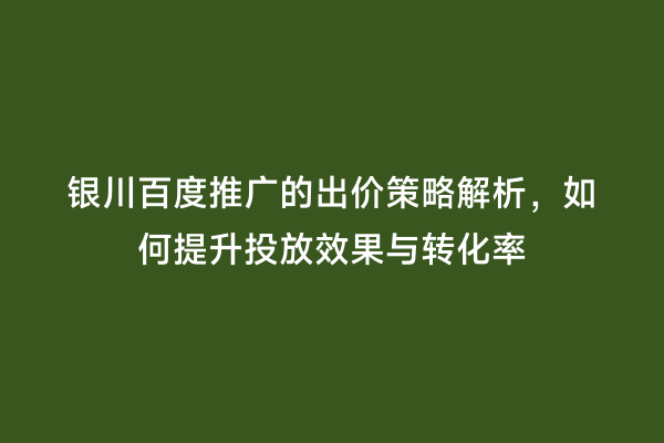 银川百度推广的出价策略解析，如何提升投放效果与转化率