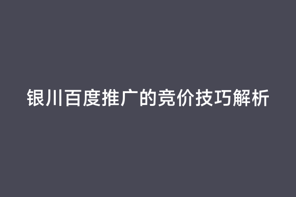 银川百度推广的竞价技巧解析
