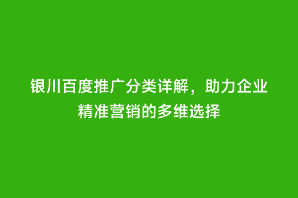 银川百度推广分类详解，助力企业精准营销的多维选择