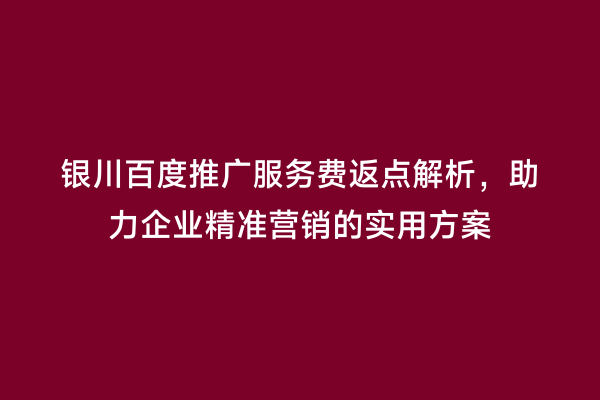 银川百度推广服务费返点解析，助力企业精准营销的实用方案