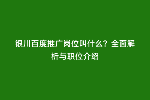 银川百度推广岗位叫什么？全面解析与职位介绍