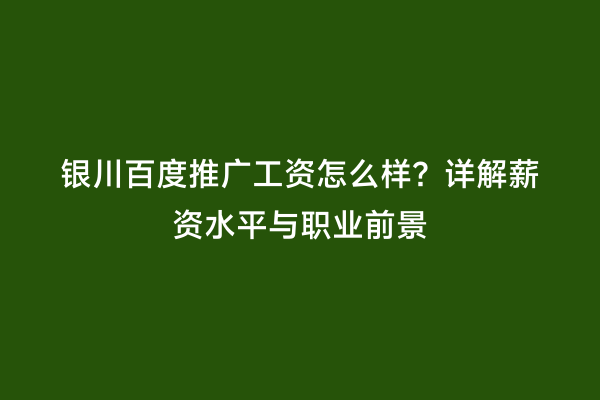 银川百度推广工资怎么样？详解薪资水平与职业前景