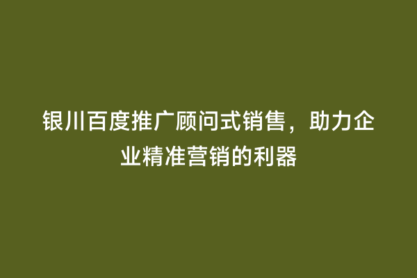 银川百度推广顾问式销售，助力企业精准营销的利器