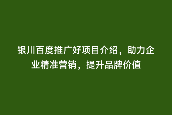 银川百度推广好项目介绍,助力企业精准营销,提升品牌价值
